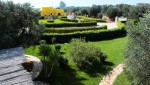Anteprima IMG_7071