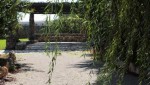 img_7098